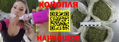 стаф Гусь-Хрустальный