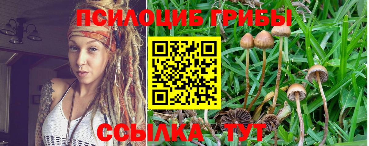 Галлюциногенные грибы MAGIC MUSHROOMS Ликино-Дулёво